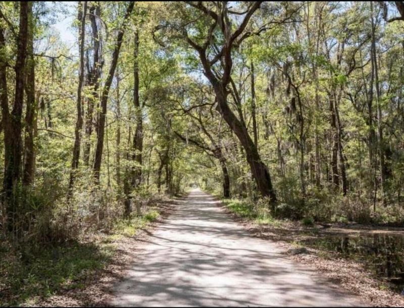 7950 Hopkins Pl Dr Lot 15, Edisto Island, SC 29438