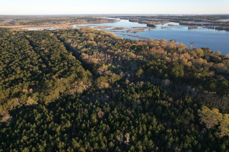 554 Point Comfort Rd, Moncks Corner, SC 29461
