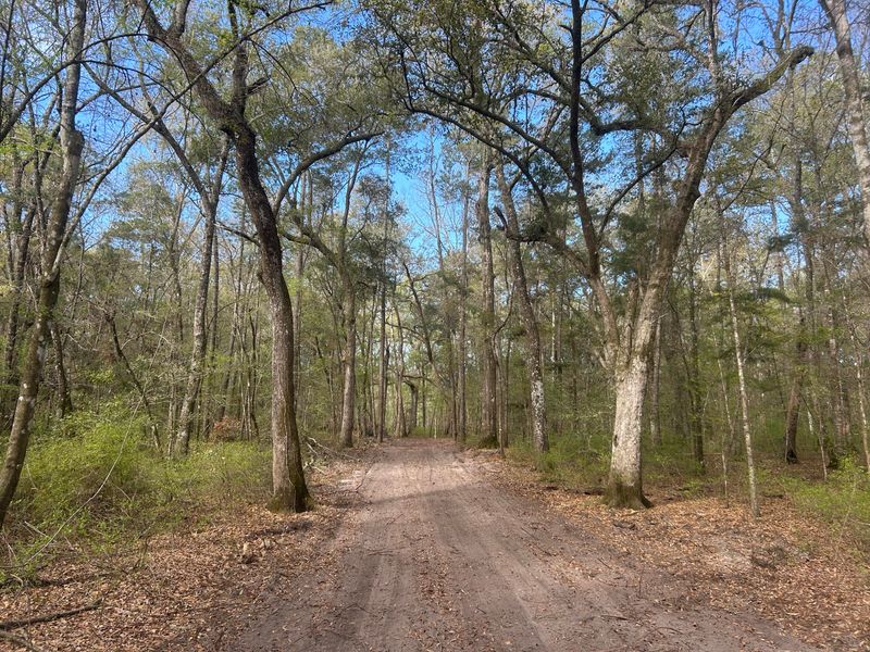 1 Boat Landing Rd, Ridgeville, SC 29472