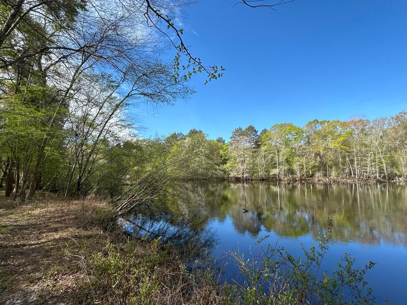 1 Boat Landing Rd, Ridgeville, SC 29472
