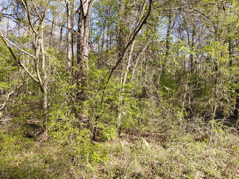 Lot 2 - 3 Gator Cv, Ridgeville, SC 29472
