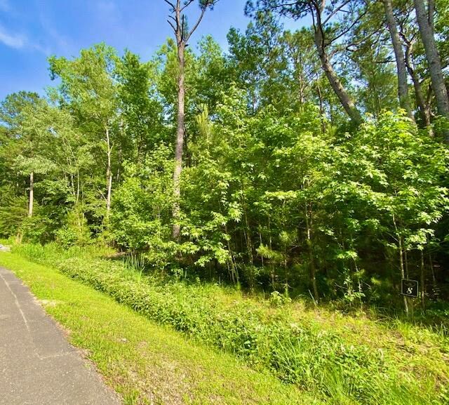 6301 Buttonbush Dr Lot 8, Ravenel, SC 29470