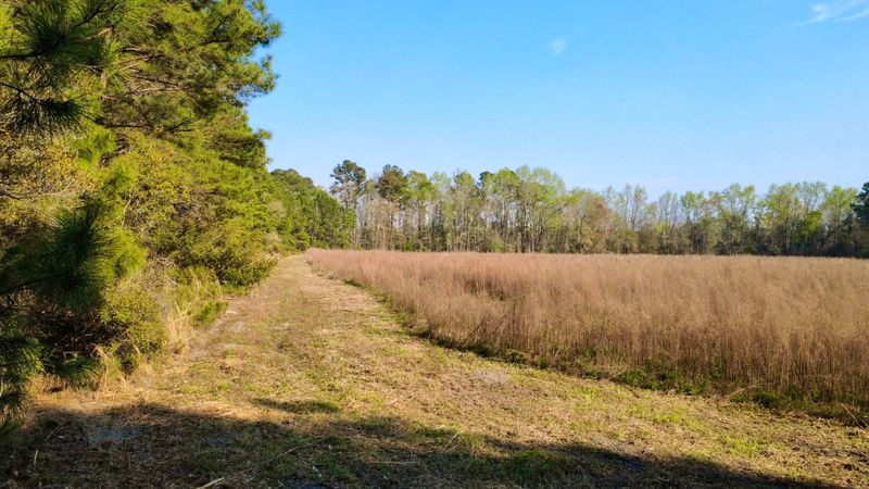 1 Westbury Rd, Saint George, SC 29477