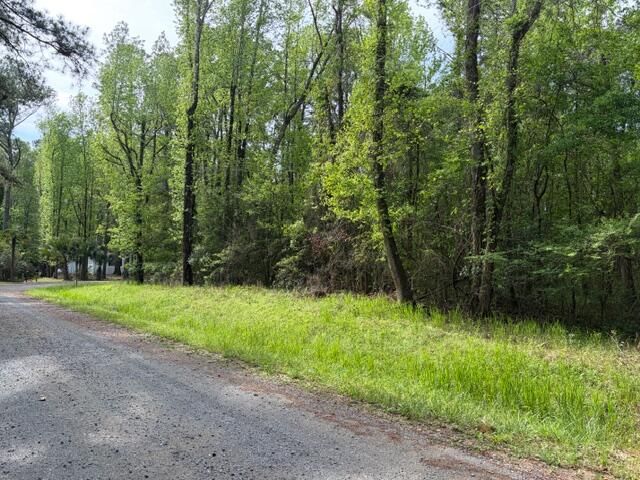 Lot 12a Osprey Dr, Moncks Corner, SC 29461