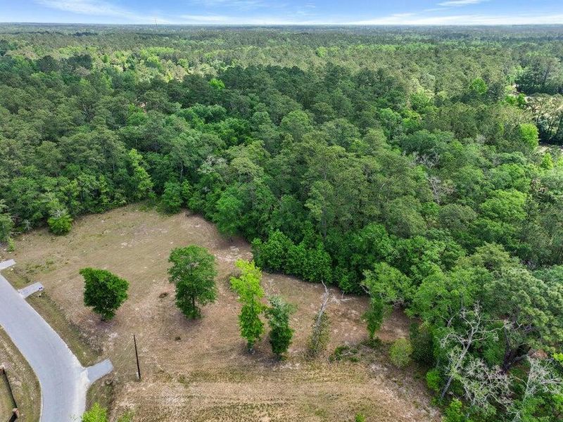 0 Capers Rd, Walterboro, SC 29488