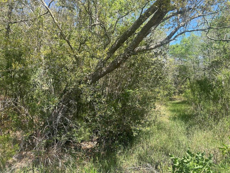 2492 Boy Scout Rd, Wadmalaw Island, SC 29487