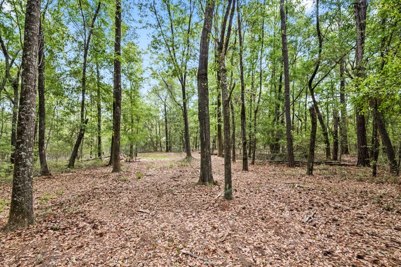 1 Frisco Ln, Johns Island, SC 29455