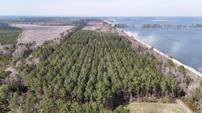 0 Highway 6, Pinopolis, SC 29469