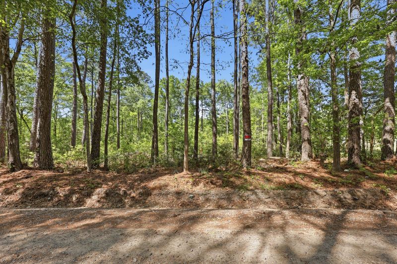 109 Love Ln, Summerville, SC 29486