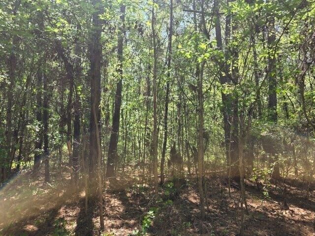 0 Bears Bluff Lot B, Wadmalaw Island, SC 29487