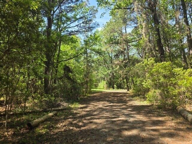 0 Bears Bluff Lot B, Wadmalaw Island, SC 29487