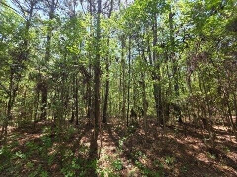 00 Bears Bluff Lot C, Wadmalaw Island, SC 29487