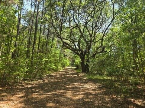 00 Bears Bluff Lot C, Wadmalaw Island, SC 29487