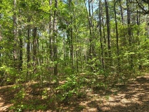 00 Bears Bluff Lot C, Wadmalaw Island, SC 29487