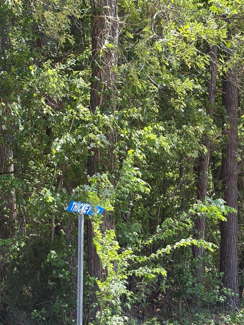 0 Thicket Ln, Saint Stephen, SC 29479