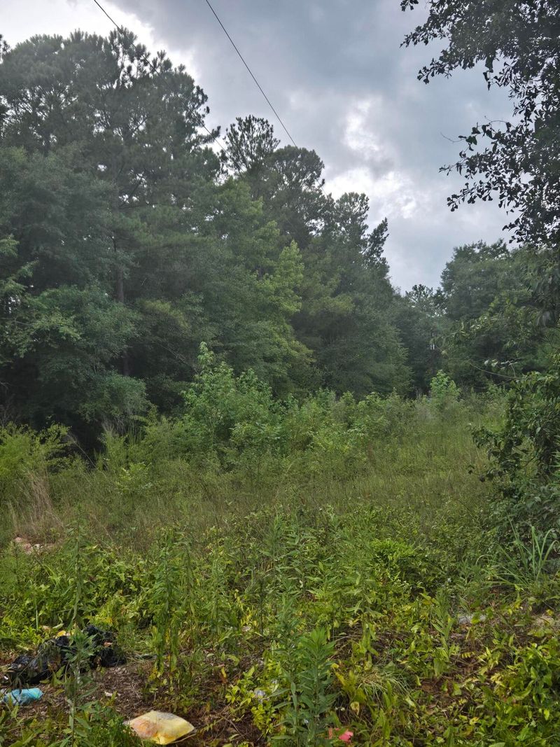 Lot 2 Rodenberry Rd, Cross, SC 29436