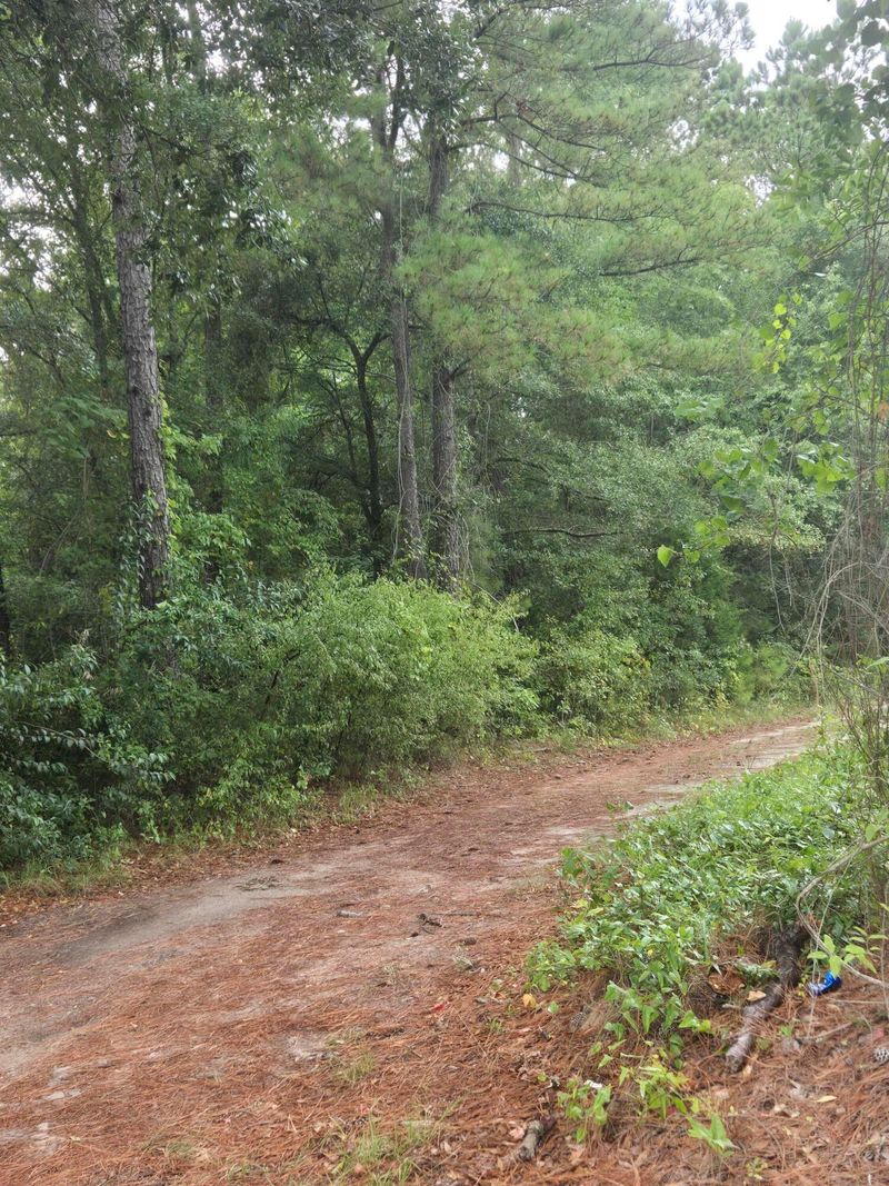 Lot 2 Rodenberry Rd, Cross, SC 29436