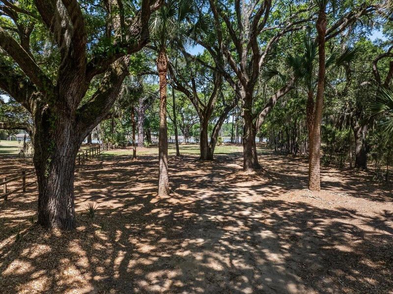 8958 Sandy Creek Rd, Edisto Island, SC 29438