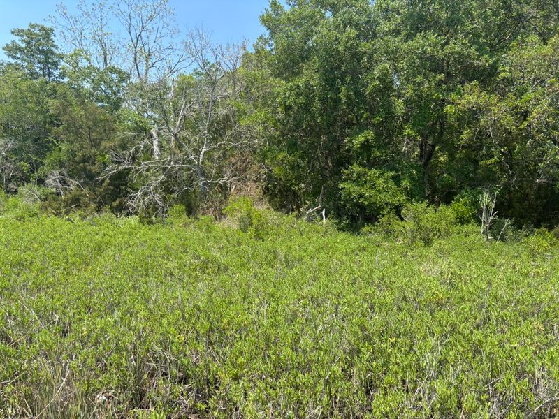 2035 Sol Legare Rd, Charleston, SC 29412