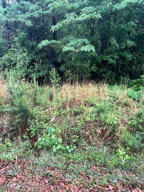 444 Mercantile Rd, Mcclellanville, SC 29458