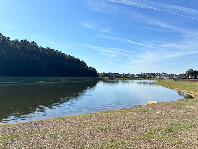 115 Lindera Preserve Blvd, Summerville, SC 29486