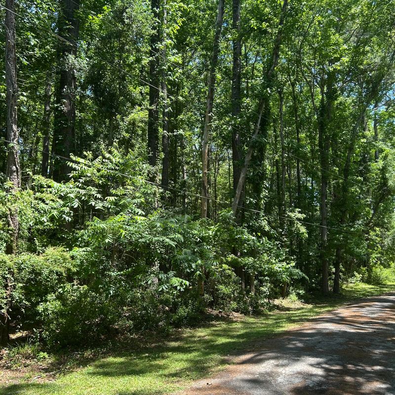 0 Pritchard Green Rd, Mount Pleasant, SC 29429