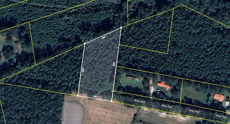 0 Way Hall Ln, Ridgeville, SC 29472