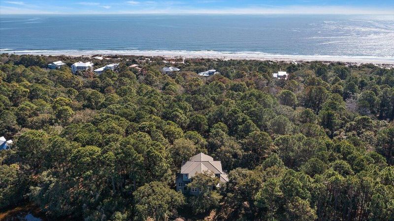 252 Pelican Flight Dr, Dewees Island, SC 29451