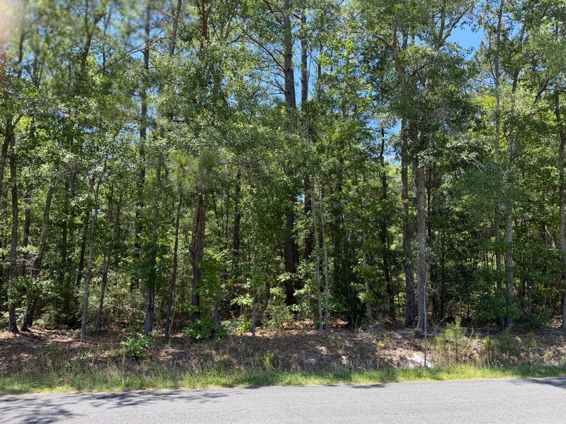 0 Hideaway Dr, Ridgeville, SC 29472