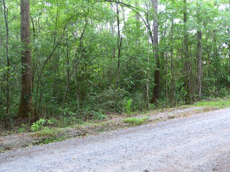 0 Branch Rd, Moncks Corner, SC 29461
