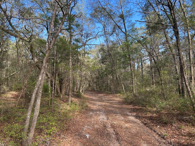11 Boat Landing Rd, Ridgeville, SC 29472