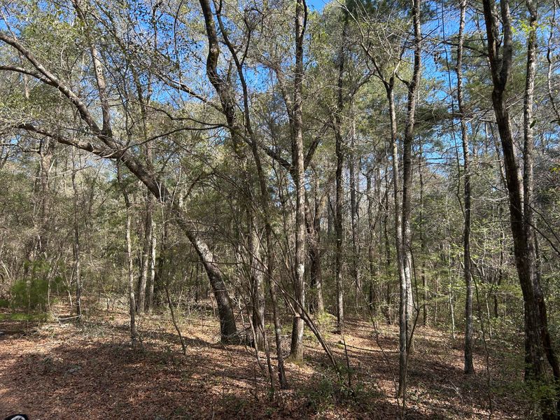 11 Boat Landing Rd, Ridgeville, SC 29472