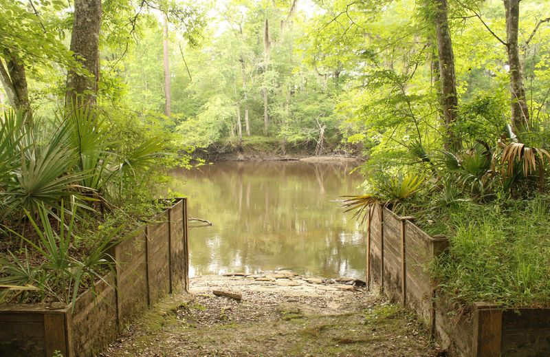 5451 Wire Rd, Branchville, SC 29432