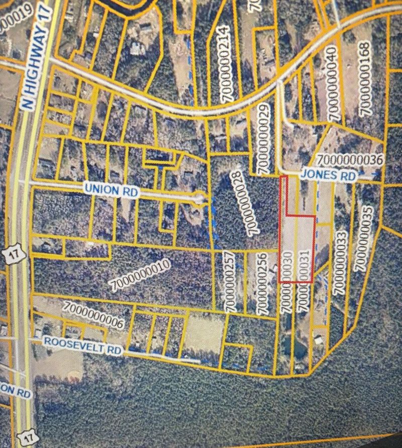 2 Jones Rd, Awendaw, SC 29429