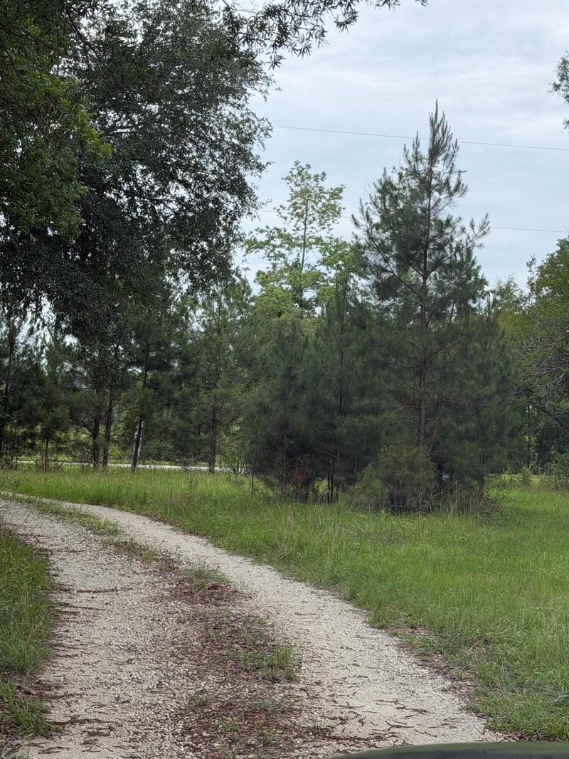 00 State Rd, Holly Hill, SC 29059