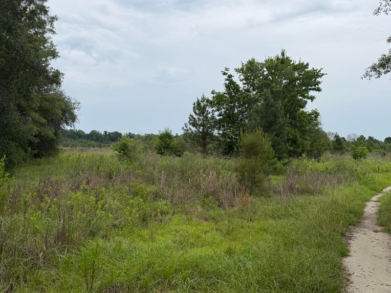 00 State Rd, Holly Hill, SC 29059