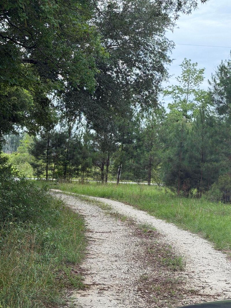 000 State, Holly Hill, SC 29059