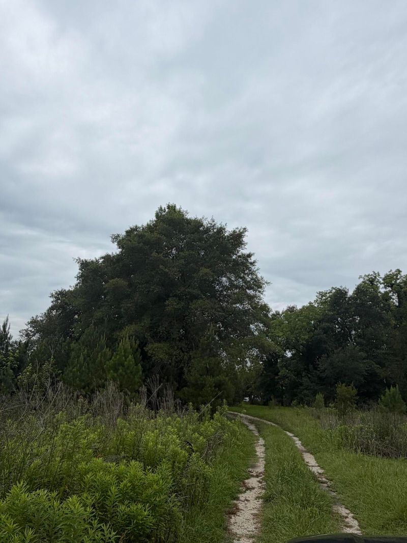 000 State, Holly Hill, SC 29059
