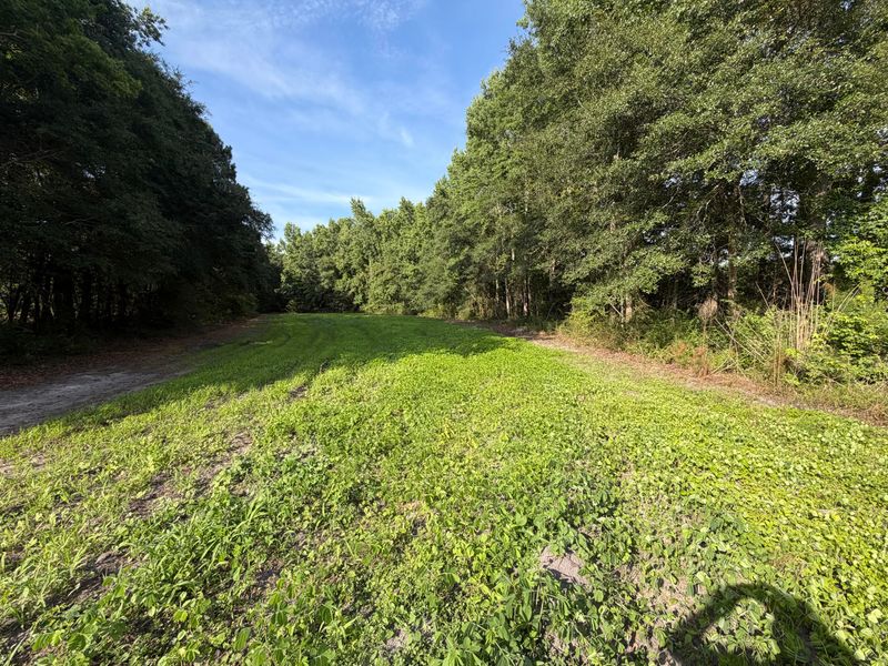 0 Reevesville, Reevesville, SC 29471