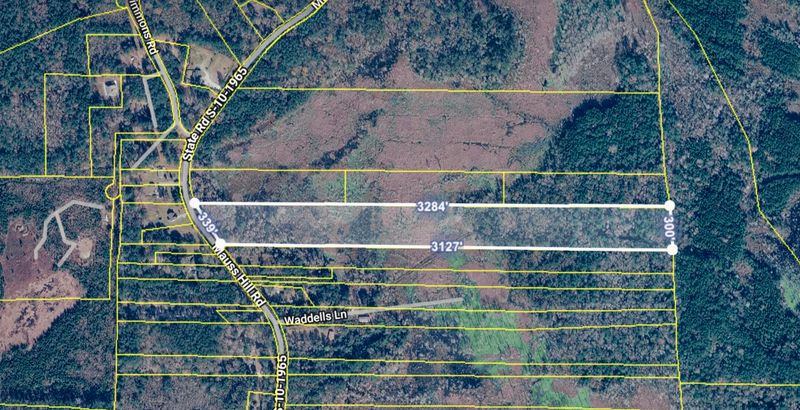 0 Mauss Hill Rd, Adams Run, SC 29426