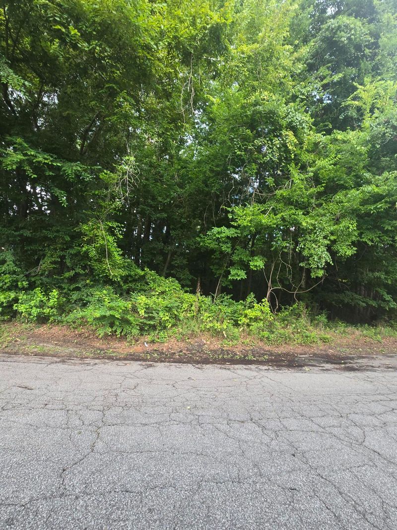 0 Judith Lot 2 Dr, Summerville, SC 29485