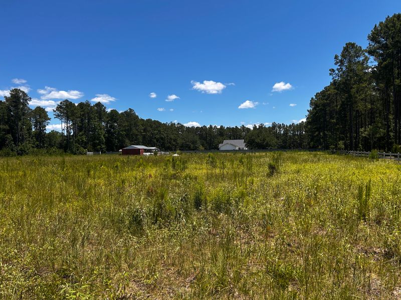 0 Cane Branch Rd, Walterboro, SC 29488