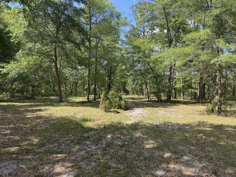 3452 Cypress Pond Rd, Walterboro, SC 29488