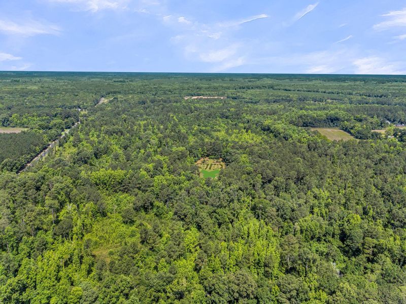 0 Wire Rd, Reevesville, SC 29471