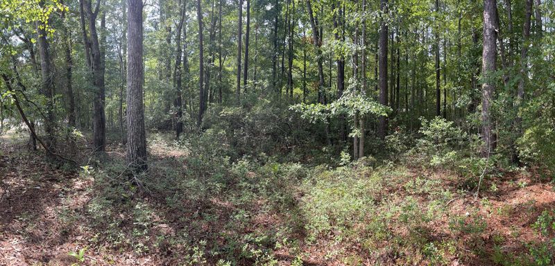592 Jefferson Davis Ave, Walterboro, SC 29488