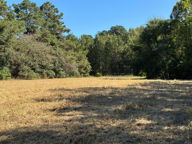 0 Clarks Hill Dr #2, Saint George, SC 29477