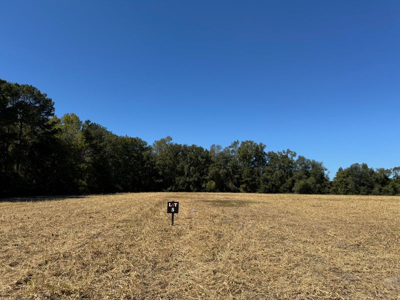0 Clarks Hill Dr #3, Saint George, SC 29477