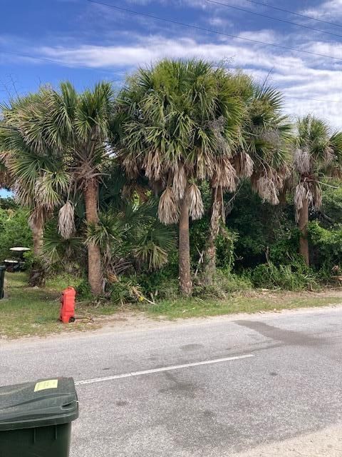 910 E Arctic Ave, Folly Beach, SC 29439