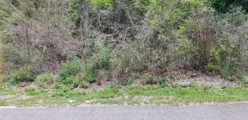 0 Savage St, Walterboro, SC 29488