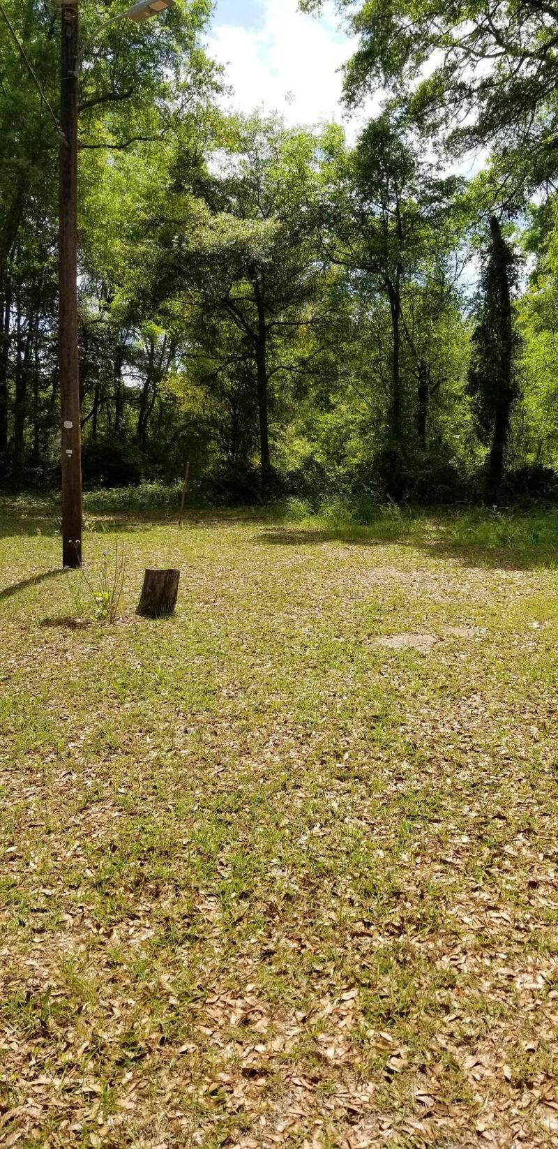 00 Rabb, Walterboro, SC 29488